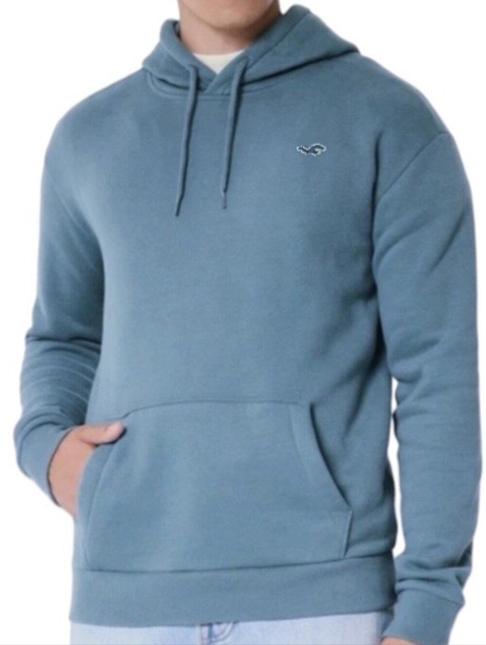 Hollister Hoodie